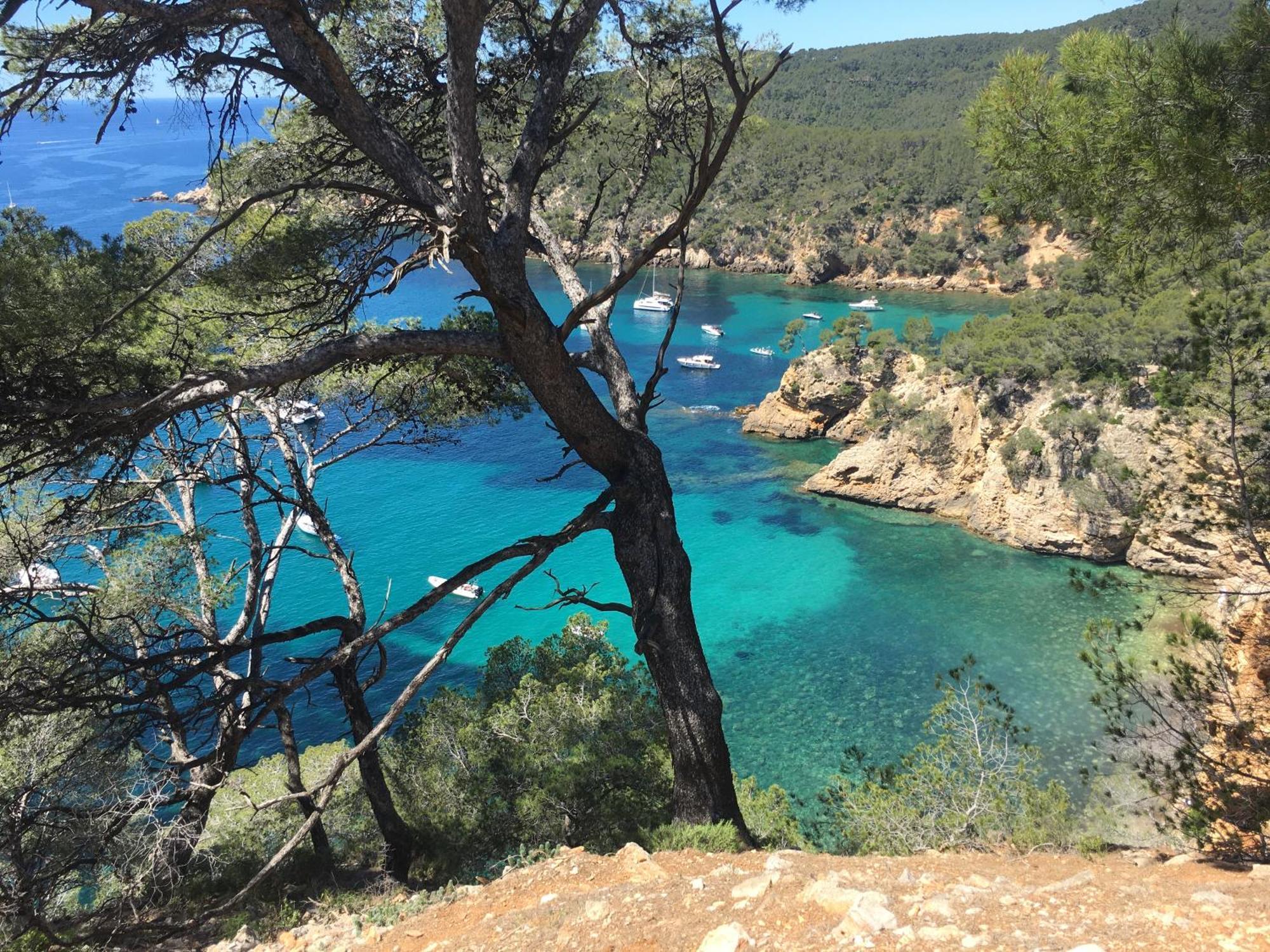 Appartement T3 Terrasse Vue Mer Bandol Luaran gambar